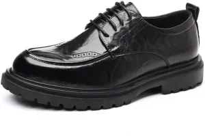 Men's Oxford Dress Shoes Formal Classic Business Lace-up Leather Wingtip Brogue for Men